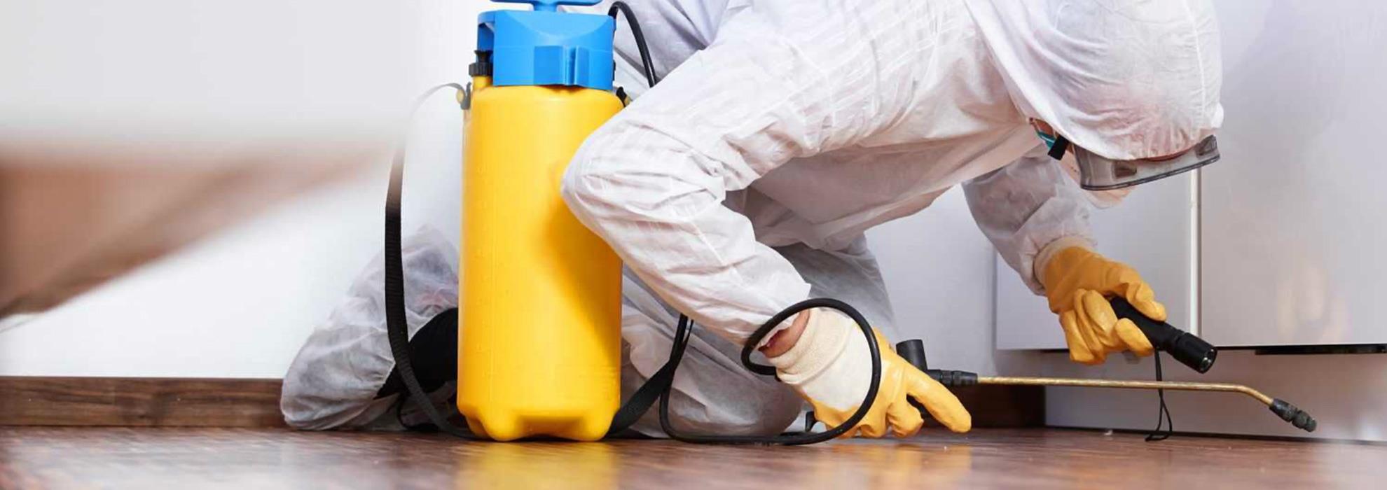 TSD pest control services will help you eliminate all pest problems